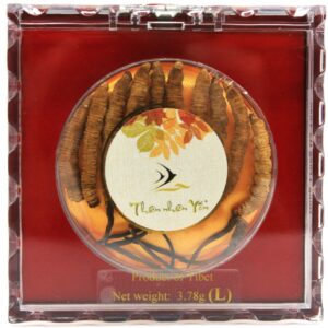 Ðông Trùng Hạ Thảo Tây Tạng Thiên Nhiên - LARGE 3.78g