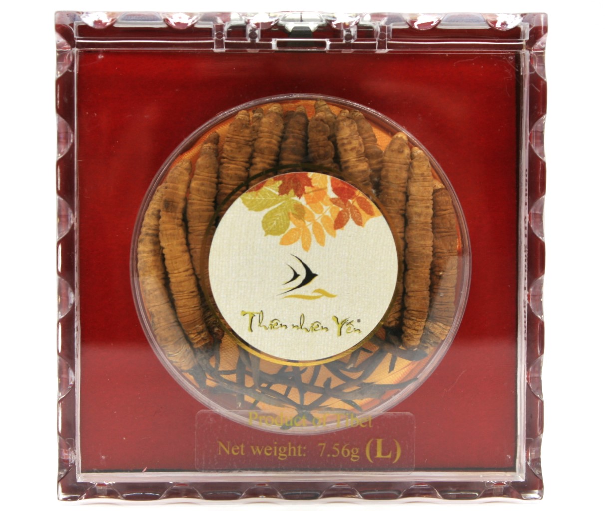 Ðông Trùng Hạ Thảo Tây Tạng Thiên Nhiên - LARGE 7.56g