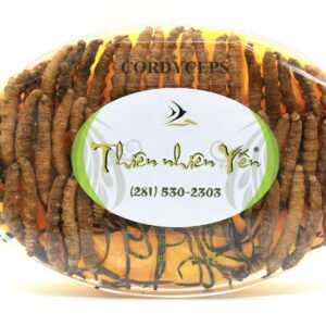 Ðông Trùng Hạ Thảo Tây Tạng Thiên Nhiên - LARGE 18.9g