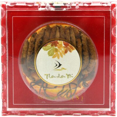 Ðông Trùng Hạ Thảo Tây Tạng Thiên Nhiên - SMALL 7.56g