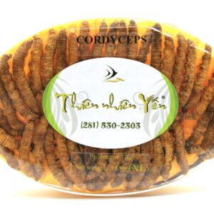 Ðông Trùng Hạ Thảo Tây Tạng Thiên Nhiên - X-LARGE 18.9g