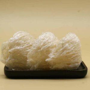 Yến sào Khánh Hoà - Tinh chế tiêu chuẩn 100gr